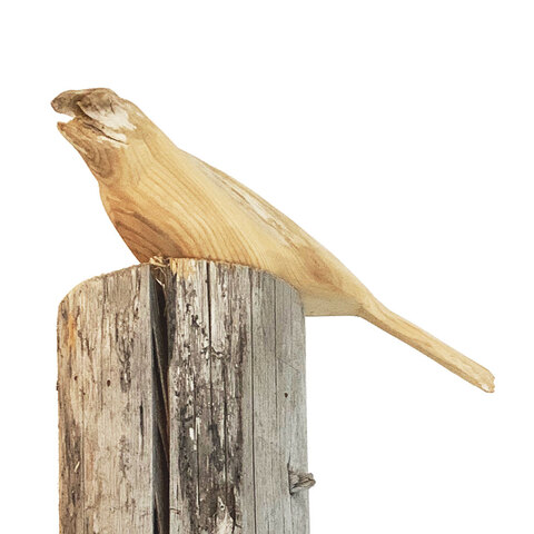 40. Oiseau perché. Bois. 15" x 4 x 4". 2023. 
150$