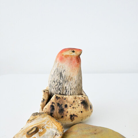 Chanteur dans son nid. Porcelaine et semi-grès. Environ 4 x 3 x 3". 2025.
150$
